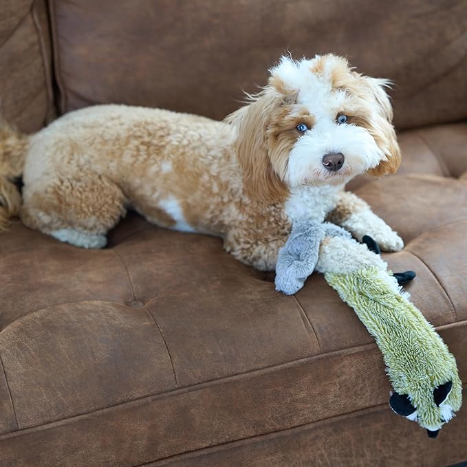 SPOT Skinneeez Raccoon 23 Inch Stuffing-Free Dog Toy – Soft Plush Tug Toy with Two Squeakers for Medium and Large Dogs – Mess-Free Interactive Chew Toy