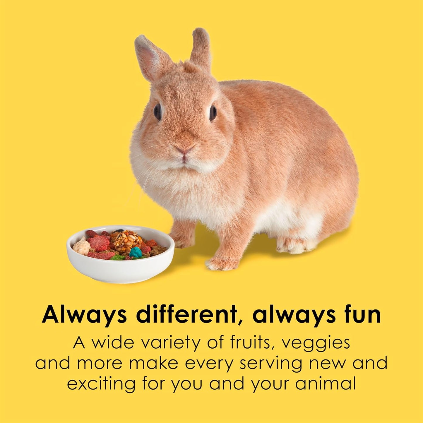 Kaytee Fiesta Rabbit Food 25 Pounds