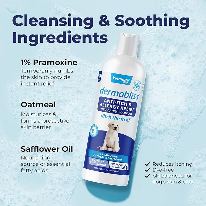 Vetnique Labs Dermabliss Dog Allergy and Itch Relief, Skin and Coat Health Supplements and Grooming Supplies with Omega 3-6-9, Biotin - Ditch The Itch (Itch Relief, 16oz Shampoo)