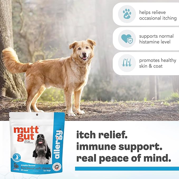 MuttGut® Dog Allergy and Immune Chews - Itch Relief for Dogs with Skin & Coat Support - Allergy Relief for Dogs Itching & Licking - Pet Allergy Chews for Seasonal Allergies - 60 Soft Chews