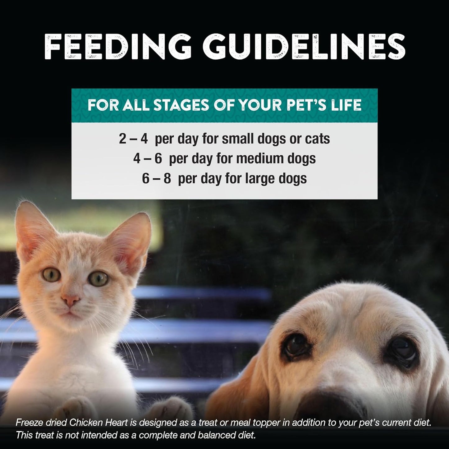 Northwest Naturals Raw Rewards Freeze-Dried Chicken Heart Treats for Dogs and Cats - Bite-Sized Pieces - Healthy, 1 Ingredient, Human Grade Pet Food, All Natural, Proudly Made in USA, 10 Oz