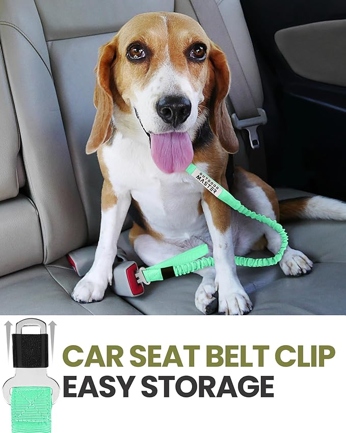 OutdoorMaster Bungee Dog Leash, Heavy Duty Dog Leash with Shock Absorption, 2 Padded Handles Training Leash, Improved Dog Safety and Comfort - Green Upgraded, 4 FT