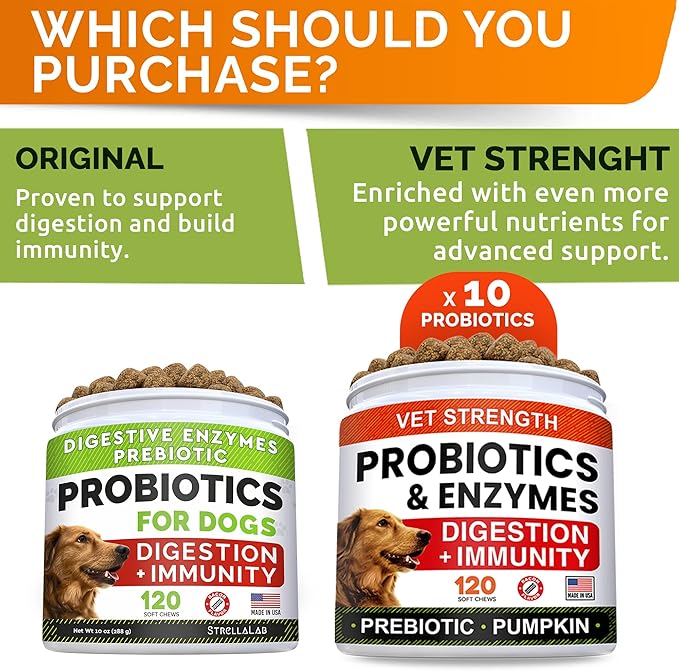 StrellaLab Vet Strength Dog Probiotics Treats - 1 Billion CFU + Digestive Enzymes + Prebiotics - Chewable Fiber Supplement w/Pumpkin - Allergy, Diarrhea, Gas, Constipation, Upset Stomach Relief