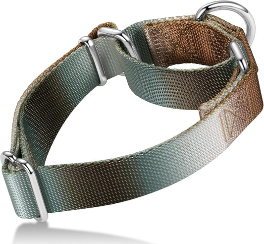 Martingale Dog Collar Colorful Gradient Fashionable - Anti-Escape Soft Durable Pets Collar for Walking Training Outdoor Daily Use -Small, Silver Brown