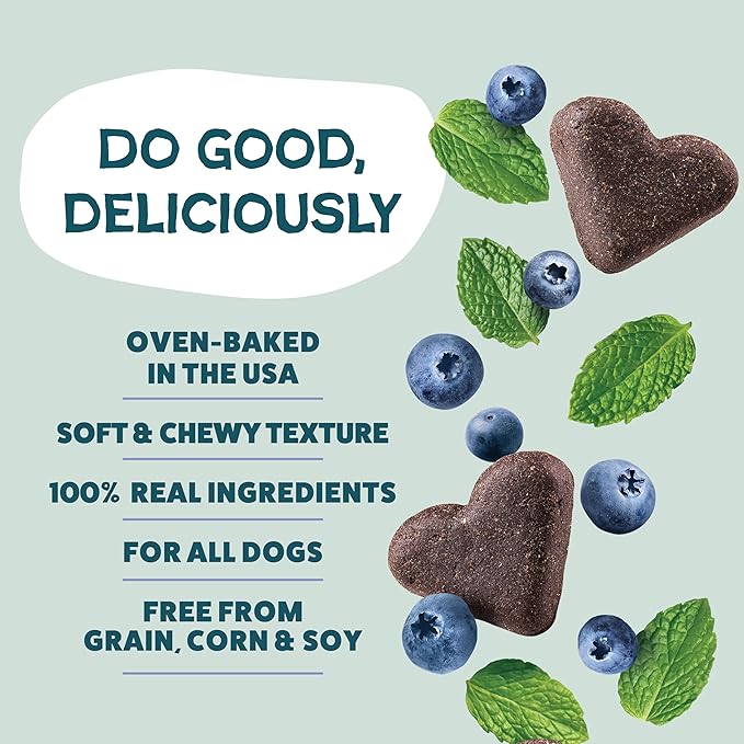 Shameless Pets Soft-Baked Dog Treats, Blueberried Treasure - Natural & Healthy Dog Chews with Mint for Immune Support - Made in USA, Free from Grain, Corn & Soy - 1-Pack