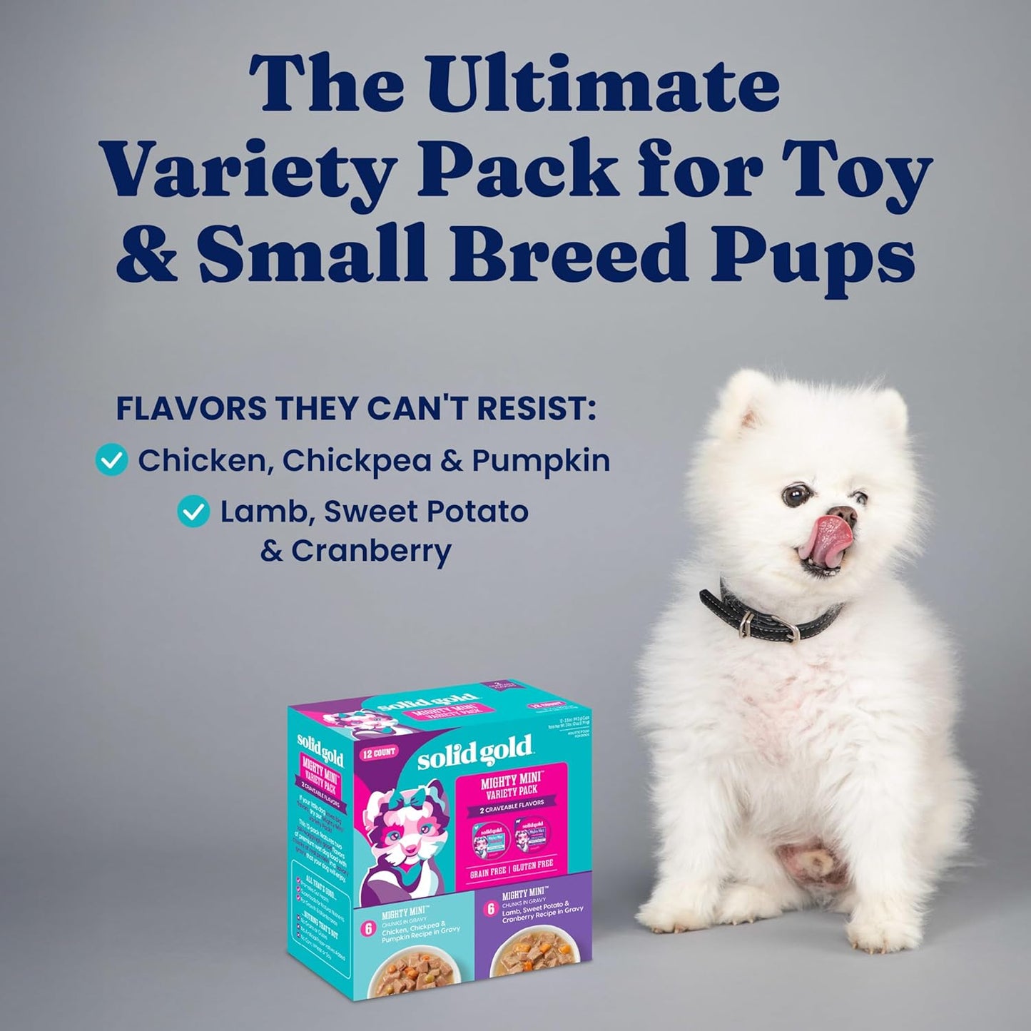 Solid Gold Wet Dog Food for Small Dogs - Grain Free Small Dog Food Wet Recipe w/Chicken, Lamb & Superfoods for Gut Health & Immune Support - for Puppies, Adult & Senior Breeds - 12ct Variety Pack