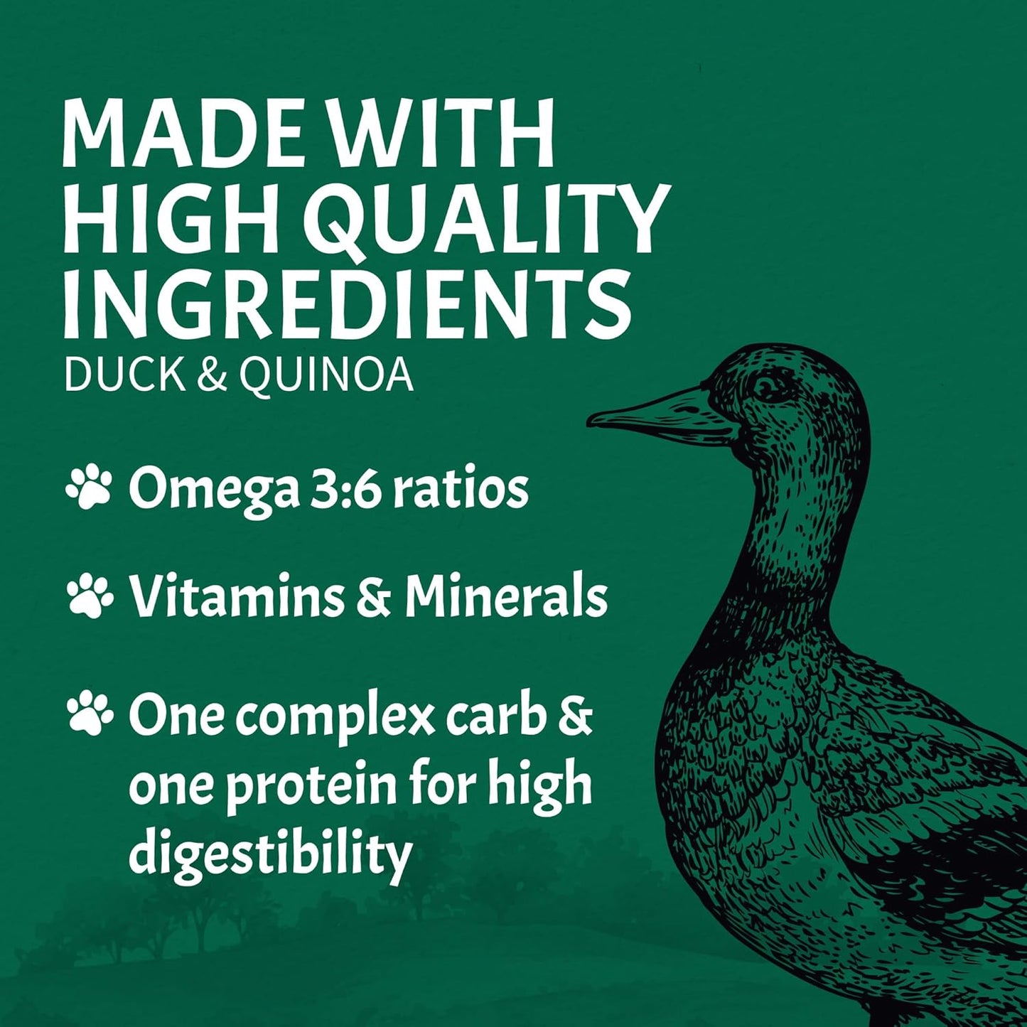 Canine Caviar - Open Sky: Duck & Teff Alkaline Dry Dog Food, Limited Ingredients, Gluten-Free, Based on Science & Research, Veterinary Alternative Diet (4.4 Pound Bag)