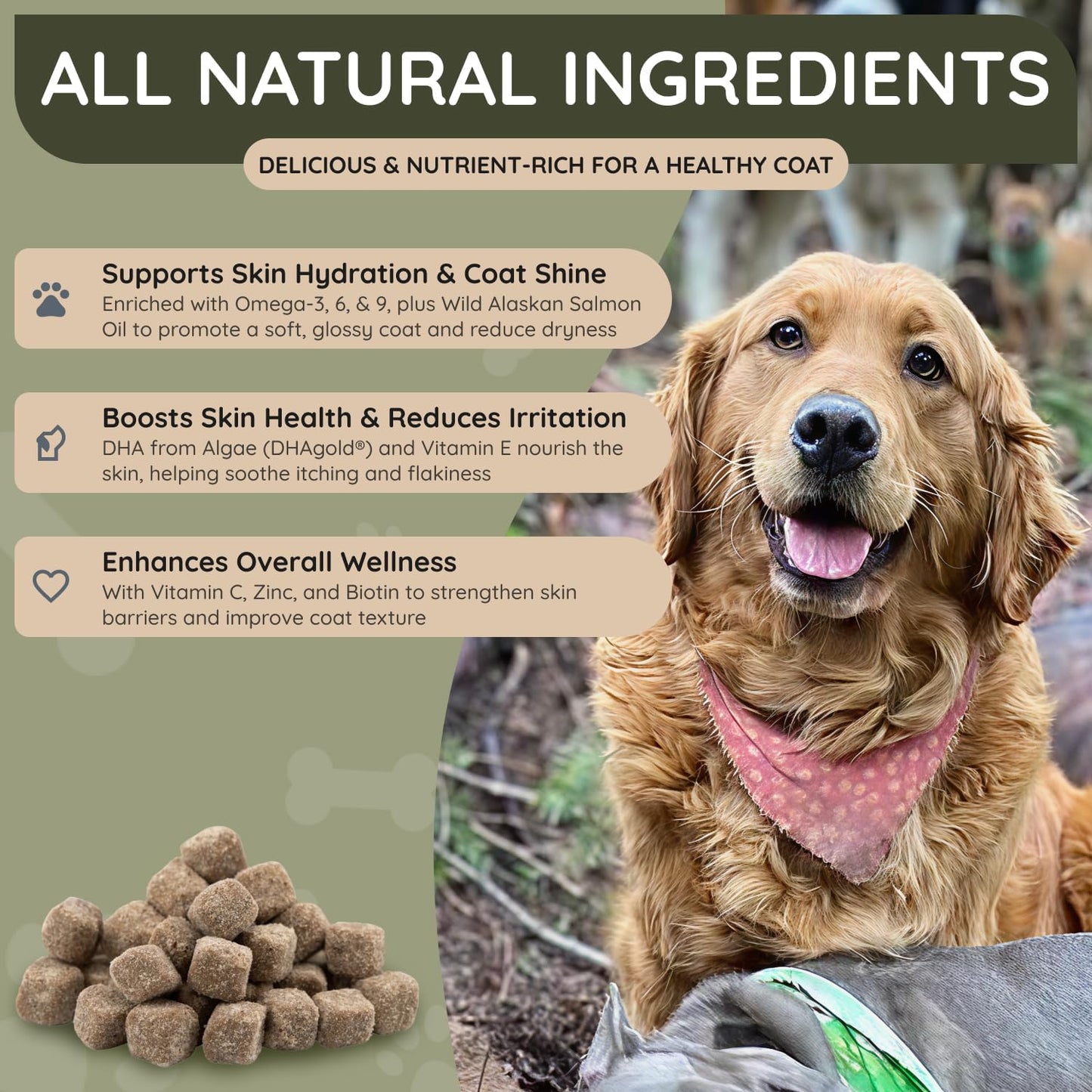 Asher House Wellness Skin & Coat Chews - Dog Itching Skin Relief with Omega 3, 6, 9, Fish Oil, Biotin - Dogs Itchy Paw Licking Chewable Treats, Puppy Dry Itch Supplement - 120 Soft Chews