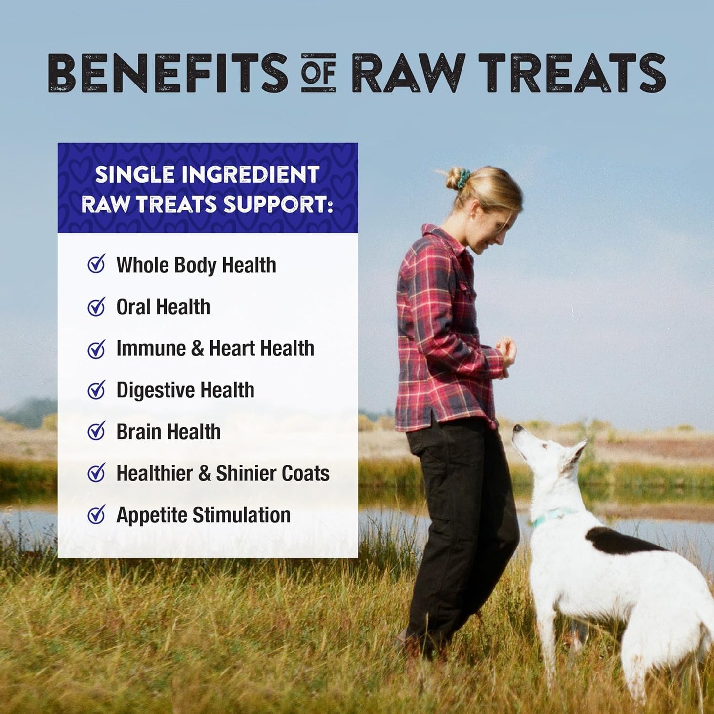Northwest Naturals Raw Rewards Freeze-Dried Pork Heart Treats for Dogs and Cats - Bite-Sized Pieces - Healthy, 1 Ingredient, Human Grade Ingredients, All Natural, Proudly Made in USA, 3 Oz (Pack of 3)