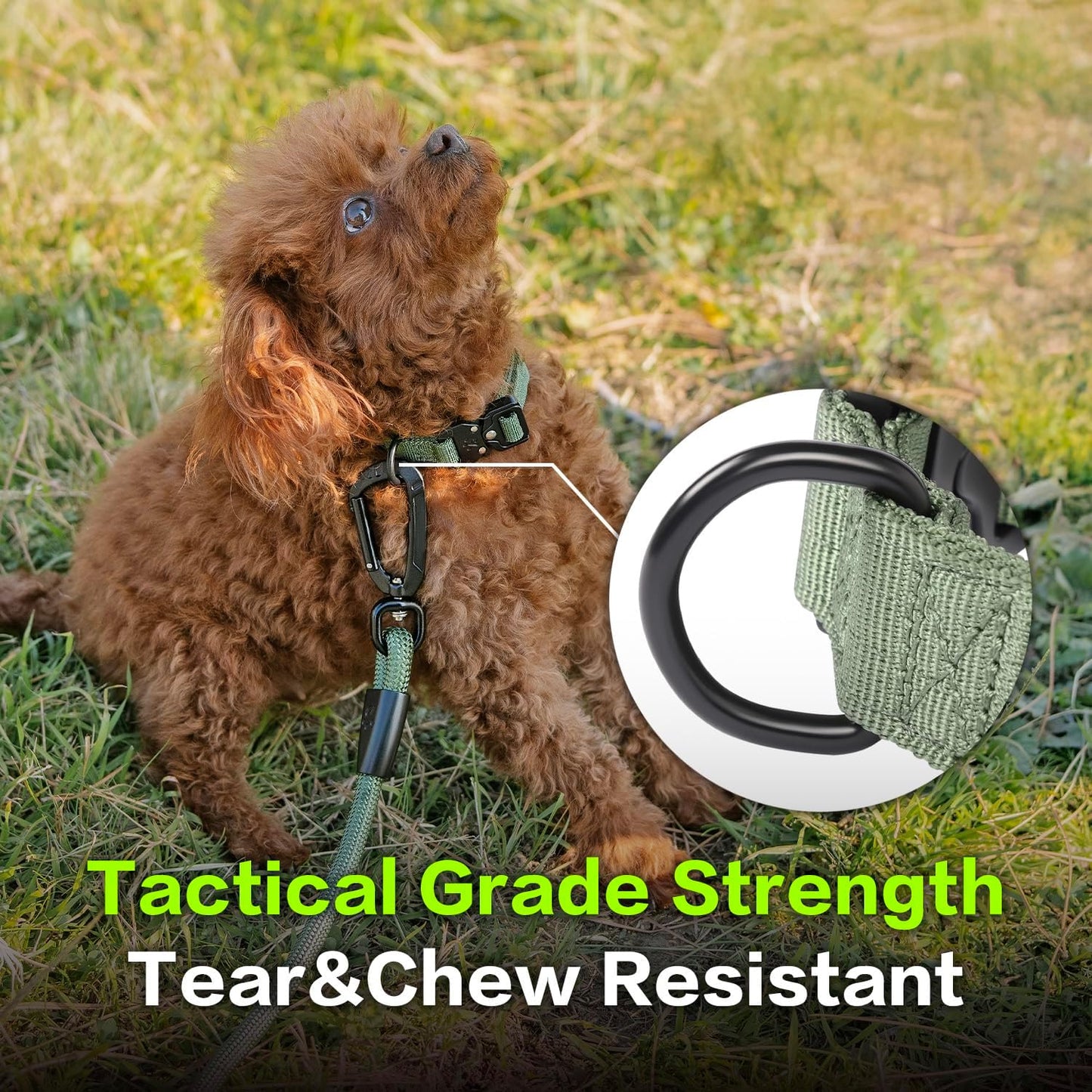 CLEPAWS Reflective Dog Collars for Medium Dogs, Heavy Duty Tactical Dog Collar with Metal Buckle, Durable Pet Collar Quick Release, Reinforced Nylon No Pull Dog Collar (Evergreen, M)