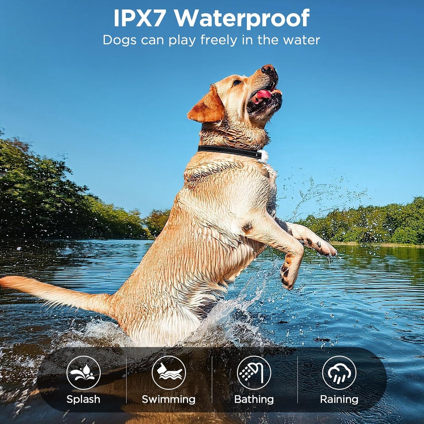 Dog Shock Collar, 3300ft Dog Training Collar with Remote, IPX7 Waterproof Rechargeable Sleek Modern Shock Collar for Small, Medium, Large Dogs with Beep, Vibration, Safety Shock, Light Mode, 8-120 lbs