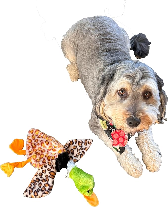 SPOT Skinneeez Mini Mallard Duck 13 Inch Stuffing-Free Plush Squeaky Dog Toy – Soft Interactive Toy for Small and Medium Dogs – Mess-Free Play for Light & Moderate Chewers – Assorted Styles
