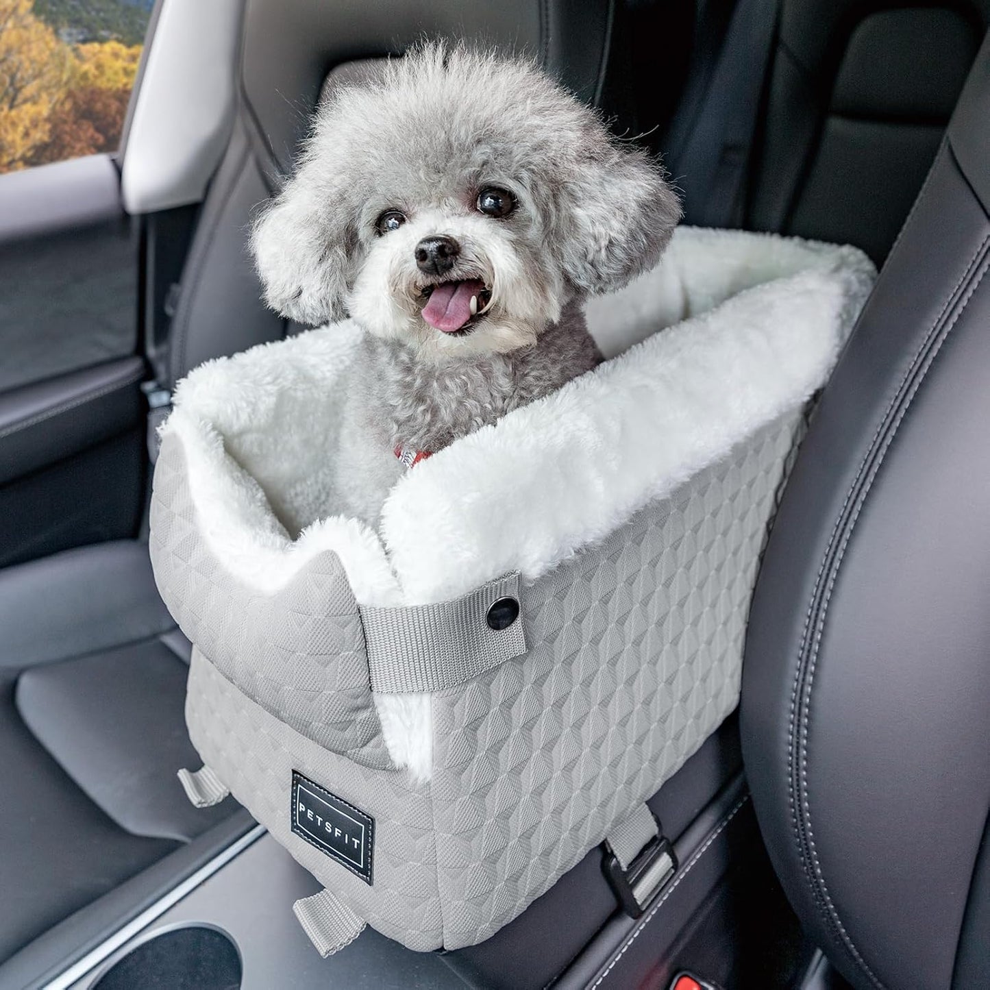 PETSFIT Dog Car Seats for Small Dogs with Safe Protection Hooks, Small Dog Car Seat with Upgraded Safety Tethers, Washable Cushion, Center Console Dog Car Seat for Pets Under 8 Lbs (Light Grey)