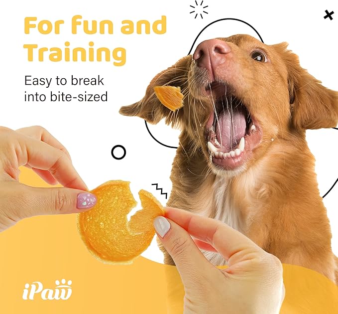 iPaw Chicken Chips Dog Treats for Puppy Training, All Natural Human Grade Dog Treat, Hypoallergenic, Easy to Digest (Chicken Chips)