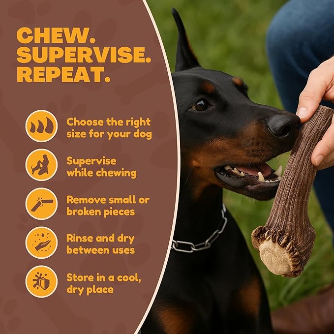 WhiteTail Naturals | Deer Antlers for Extra Large Dogs - (Jumbo-XXL) - Naturally Shed, Long Lasting Chew Bone for Aggressive Chewers