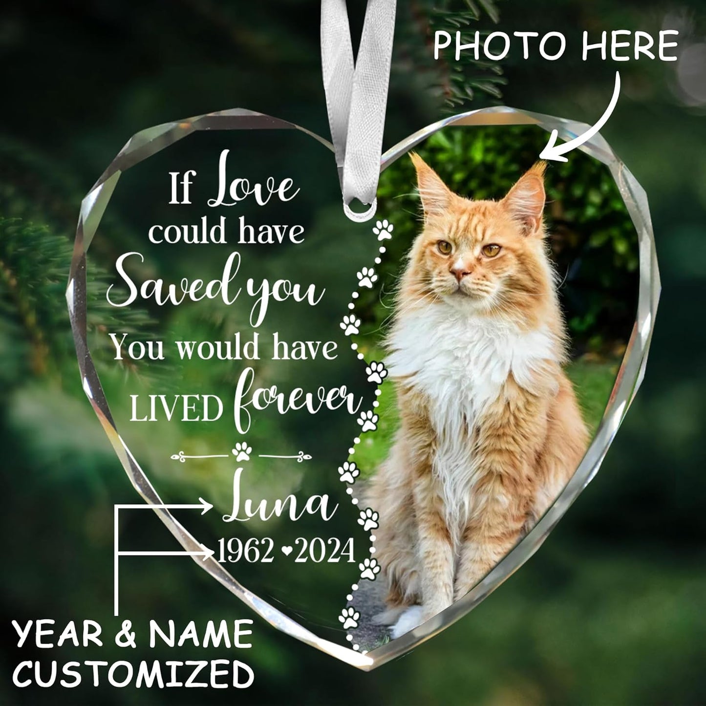 Personalized Wings Memorial Dog Christmas Ornaments - Forever in Our Hearts Acrylic Ornament for Your Loss Pet - Custom Photo, Name, Years (Memorial Cat Glass Heart)