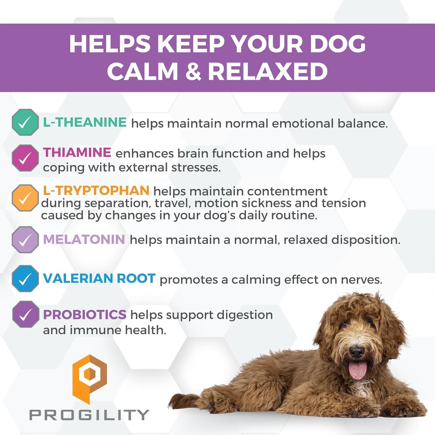Nootie Progility Daily Calming Aid Chews for Dogs, Advanced Calming Support for Dogs with Melatonin, 90 Soft Chews