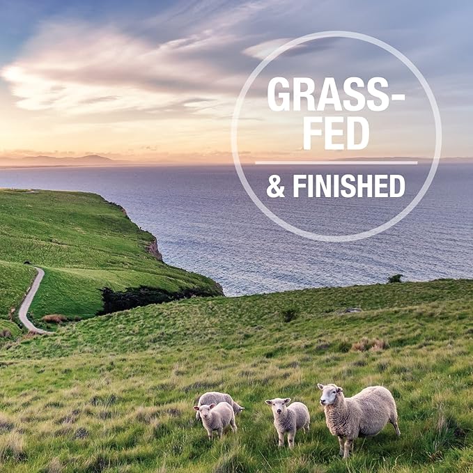 K9 Natural, Freeze-Dried Single Ingredient Dog Treats, High-Value, Low-Calorie Protein Bites for Active Dogs, Healthy Dog Training Treats, Grain-Free Reward, Beef Lung, 2.1oz (Pack of 2)