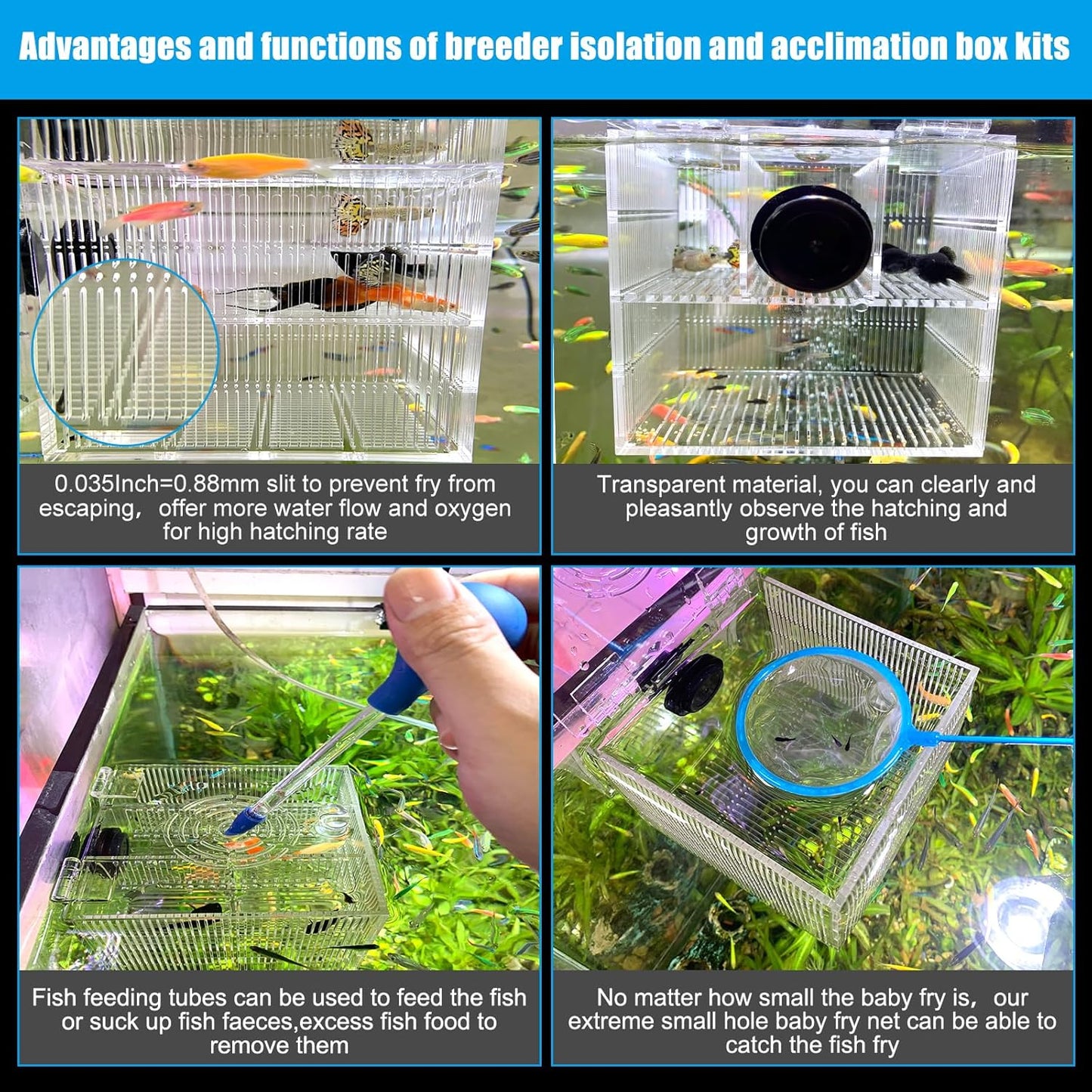 Magnetic Breeder Box for Tank Isolation Box Acclimation Hatchery Fish breeding Incubator with 3 Divider for Guppy Baby Betta Saltwater Anemones or Injured Fish（Sealed Bottom Version）