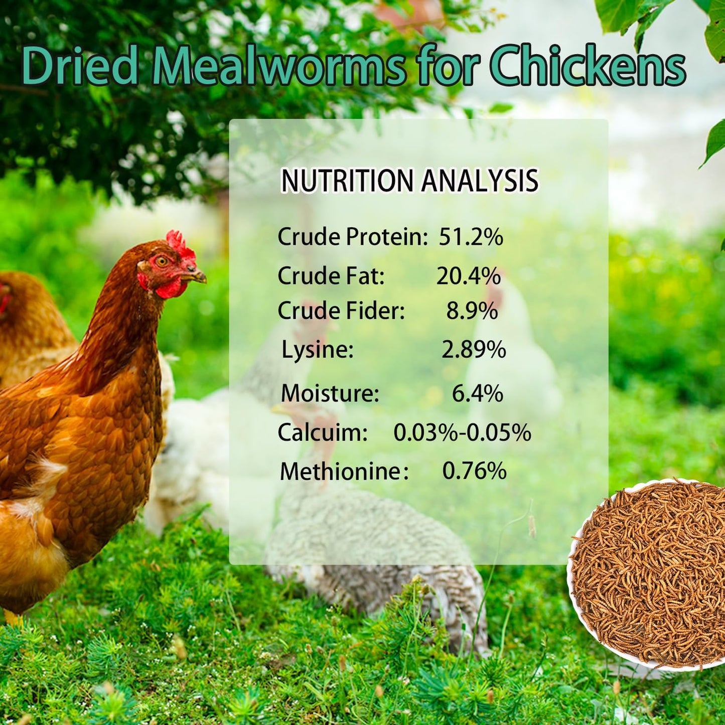 KAYHEN Dried Mealworms for Chickens 10LB Pure Natural Non-GMO High Protein Feed Meal Worms for Laying Hens Wild Birds
