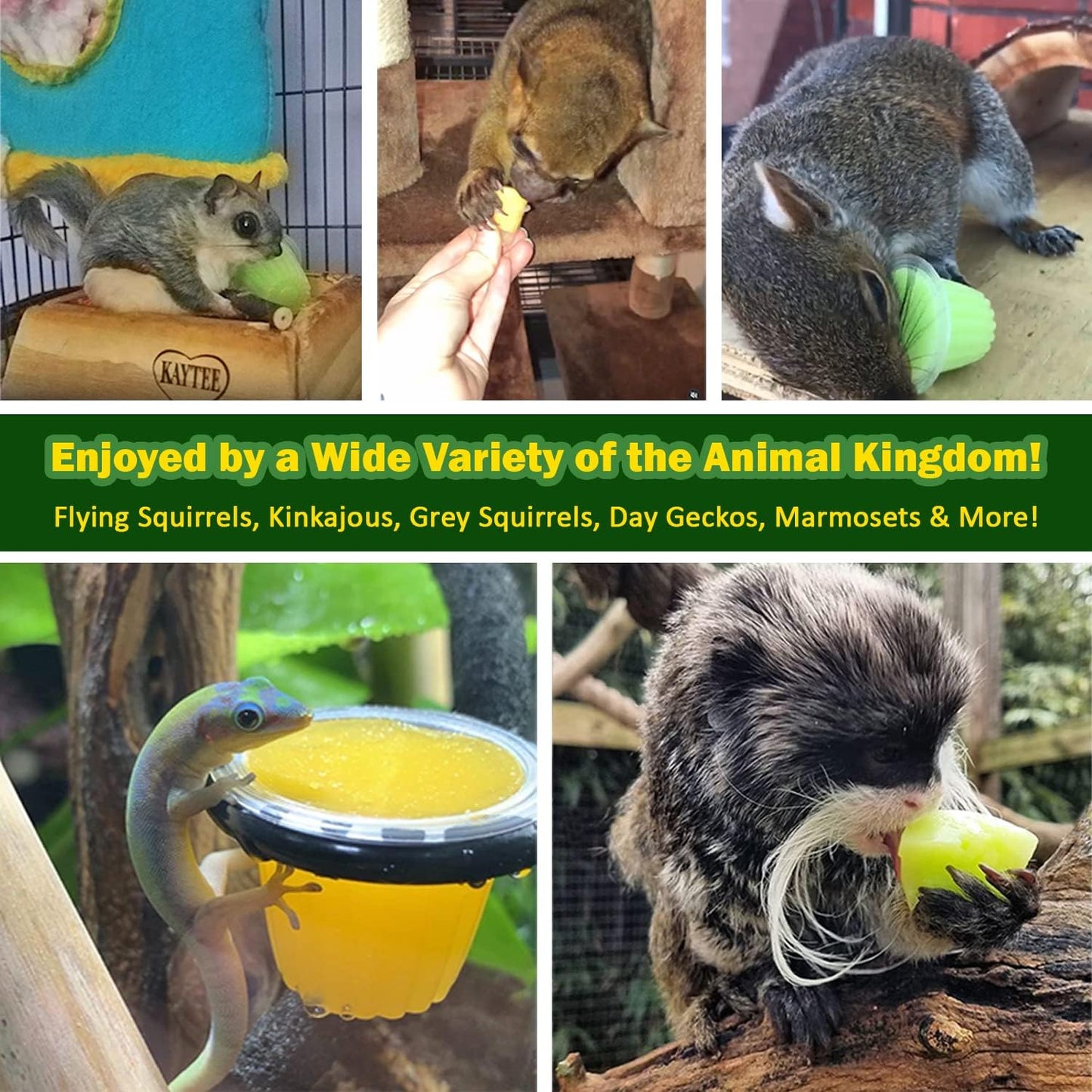 Nectar Pods (Melon) - Calcium-Fortified Jelly Fruit Treat - Sugar Gliders, Marmosets, Squirrels, Parrots, Cockatiels, Parakeets, Lovebirds, Conures, Hamsters, Day Geckos, Kinkajous & Other Small Pets