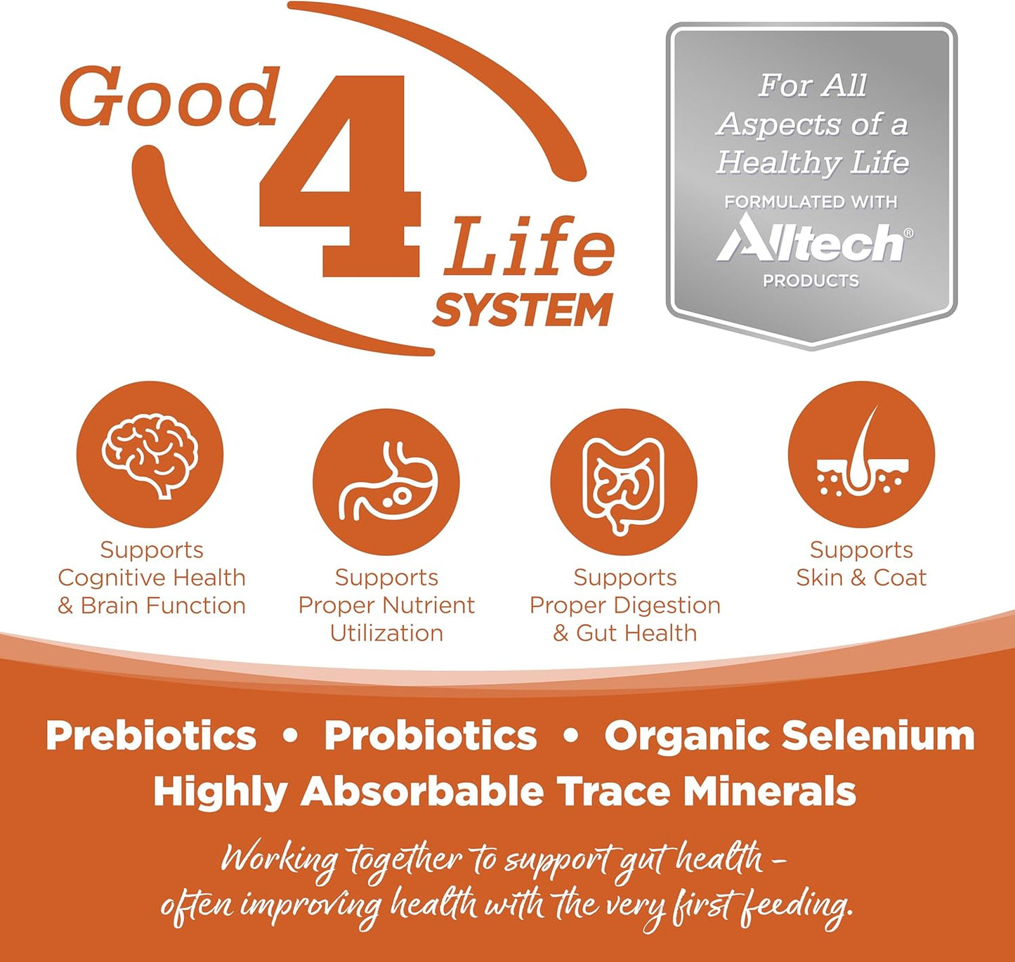 NutriSource Element Series Outback Trails Dry Dog Food, Lamb, Kangaroo and Wild Board, 24LB