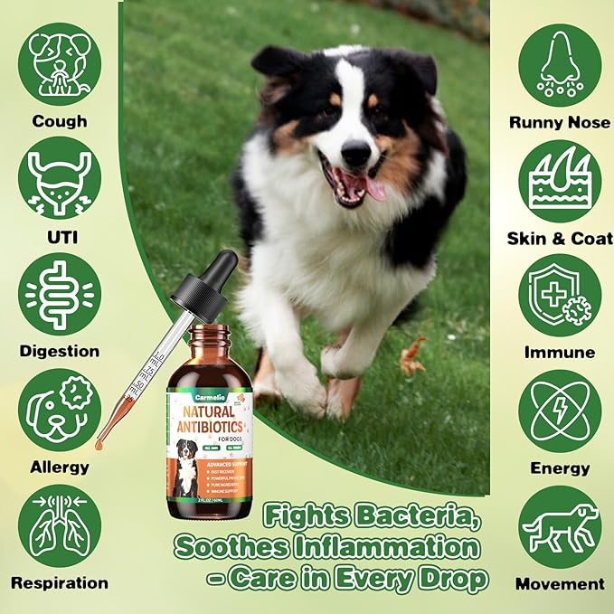 Natural Antibiotics for Dogs - Dog Antibiotics Nutritional Supplements for Skin Issue, Itch Relief, Dog and Cat Herbal Supplement Drops for Pets, Supports Skin Health - 60 ml/2 Fl Oz