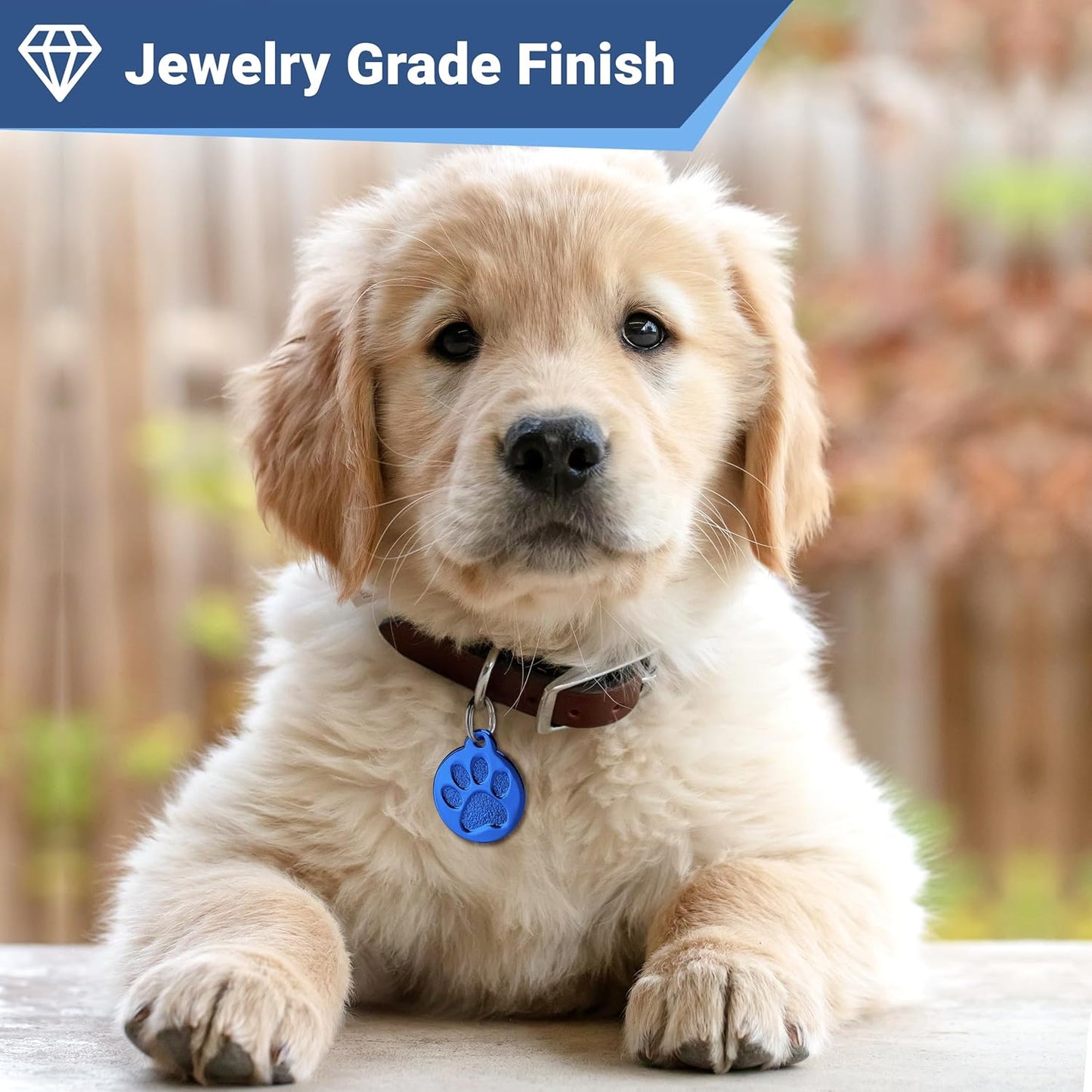 GoTags Paw Print Round Stainless Steel Pet Tag for Dogs and Cats, Personalized with 4 Lines of Custom Engraved ID with Silencer, in Stainless Steel and 15 Colors Small and Large, Glitter Blue