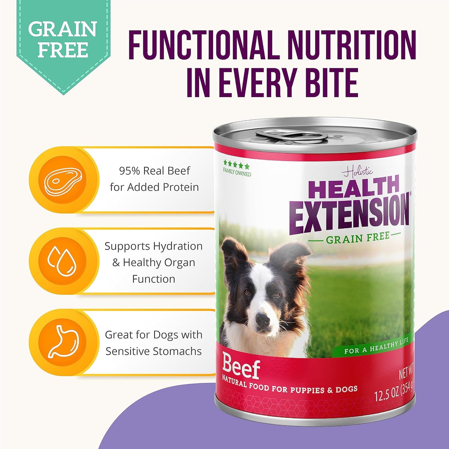 Health Extension 95% Beef Entrée Wet Dog Food Grain-Free, 5.5 oz – Protein-Rich Recipe, Hydration Support, Ideal for Sensitive Stomachs (Case of 24 Cans)