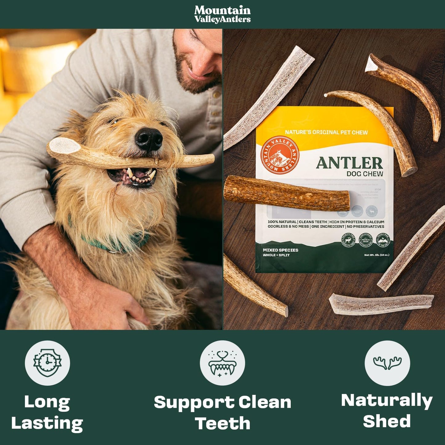 Mountain Valley Mixed Species Antlers for Dogs - 100% Natural & Organic Chew for Aggressive Chewers, No Odor, No Mess, Long Lasting - Wild-Foraged Naturally Shed Antler in USA - Grade A Pack (1 LB)