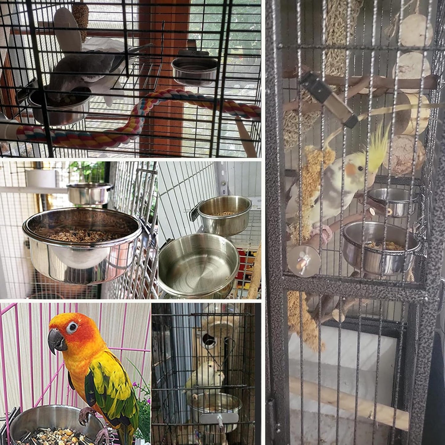 PINVNBY 6 Pieces Stainless Steel Bird Feeding Dish Cups,Parrot Feeder Parakeet Food Water Bowls with Clamp Holder & 6 Pcs Bird Spoon & 6 Pcs Birds Ball Toys for Budgies Macaw Small Animal(M)