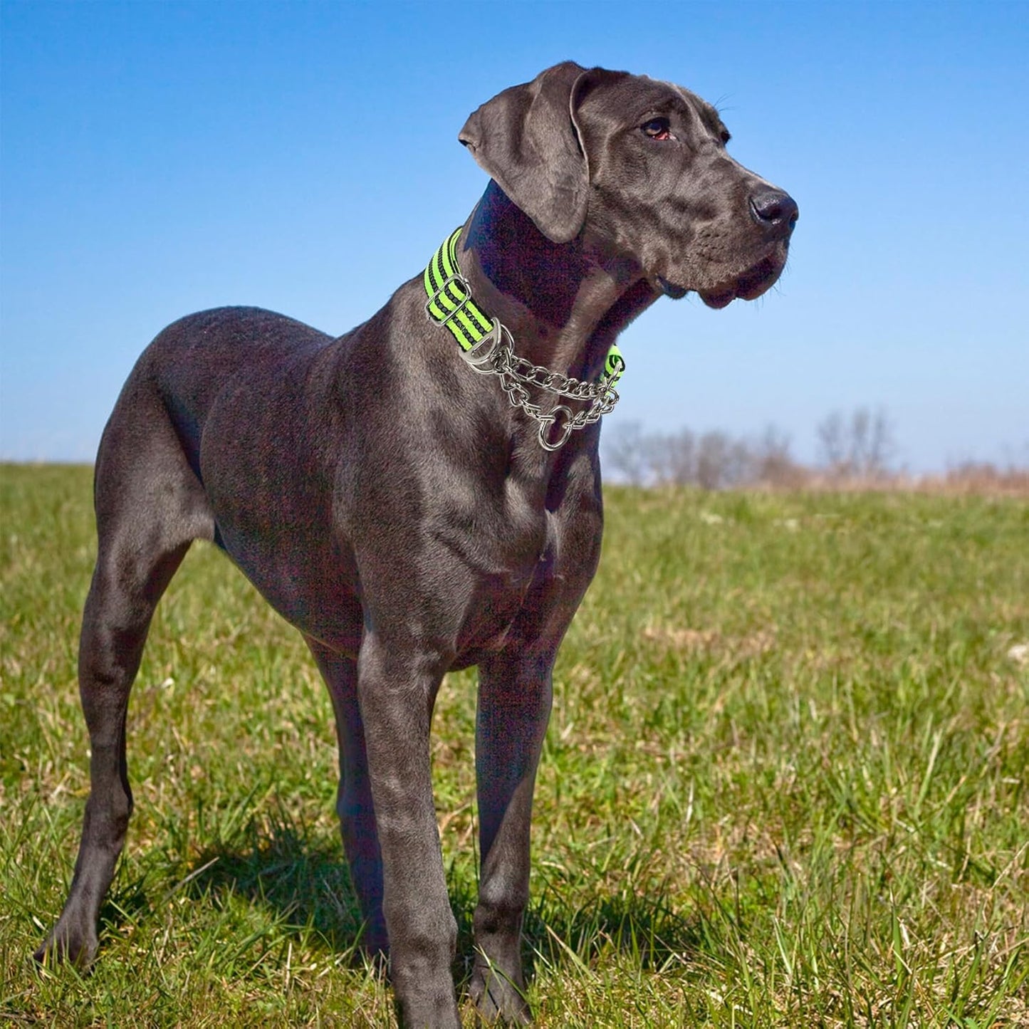 Martingale Collar Dog with Reflective,Nylon Soft Padded Adjustable Choke Collar for Large Breed Dogs, Medium, XL, XXL - Training & Walking Pet Safety Collar (Green XXL)