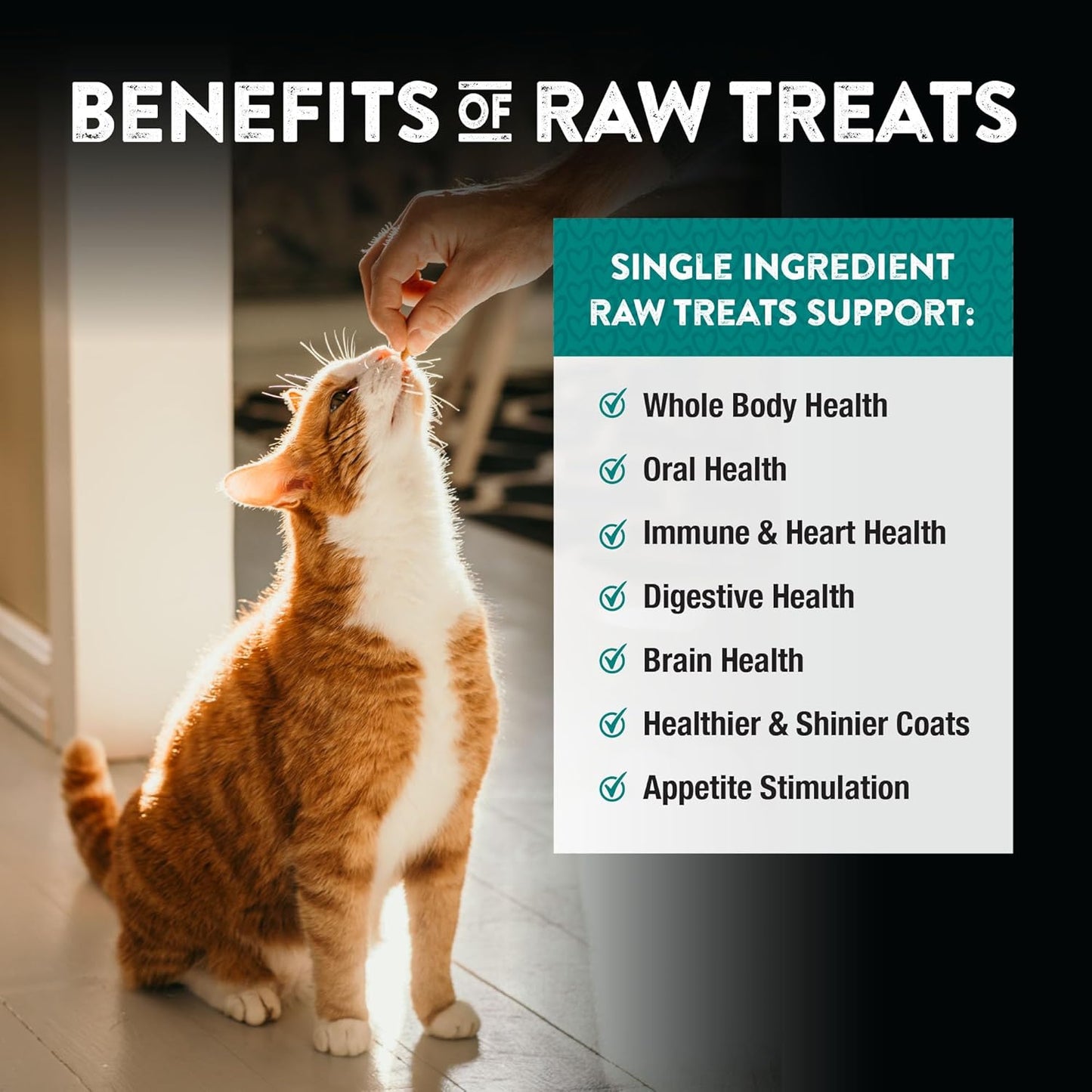 Northwest Naturals Raw Rewards Freeze-Dried Chicken Heart Treats for Dogs and Cats - Bite-Sized Pieces - Healthy, 1 Ingredient, Human Grade Pet Food, All Natural, Proudly Made in USA, 10 Oz