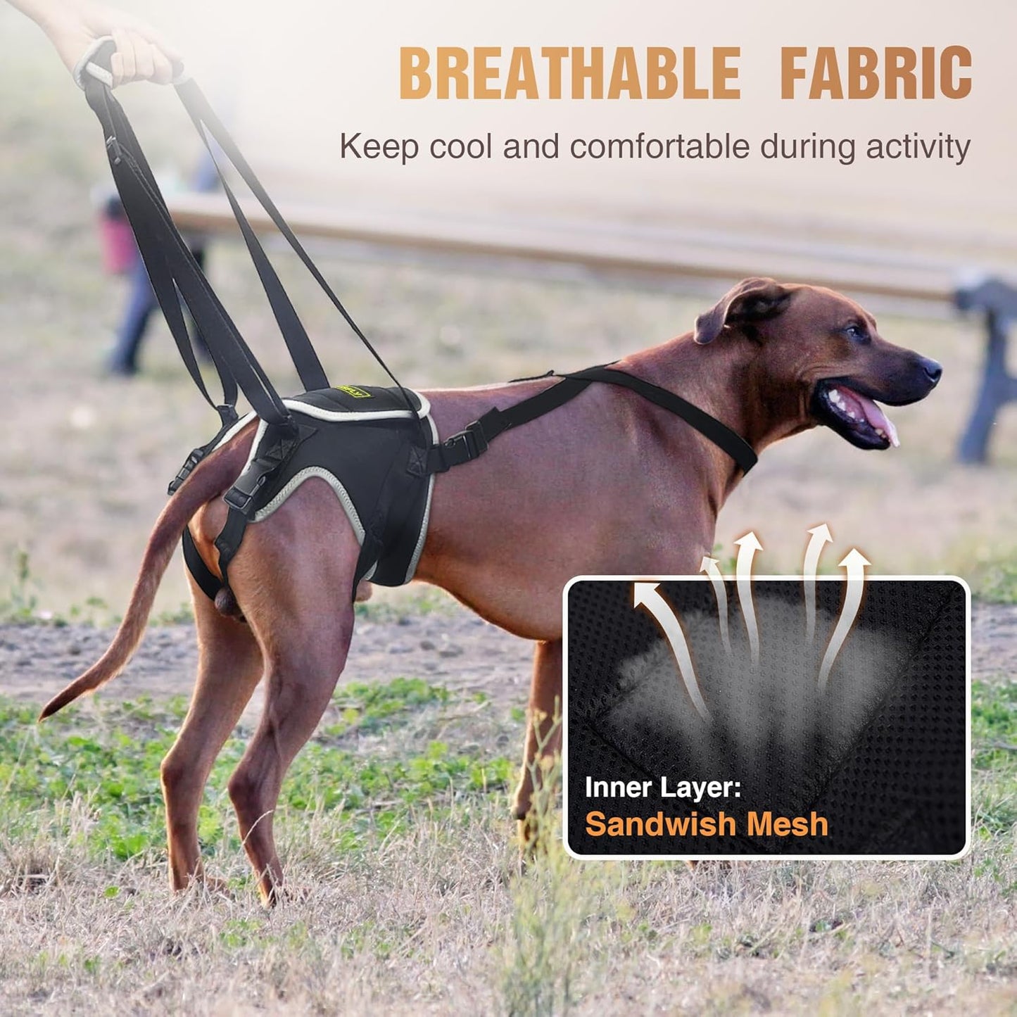 Dog Lift Harness for Small Dog Hind Legs, Adjustable Dog Slings for Small Dogs for Hip Dysplasia, Arthritis, Hind Leg Disability and Post-Surgery Recovery, Provides Support and Promotes Recovery- S