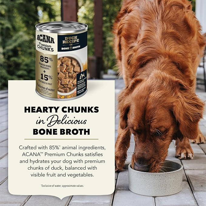 ACANA Premium Chunks in Bone Broth Grain-free Wet Dog Food Duck Recipe 12.8oz Cans (12 Count)