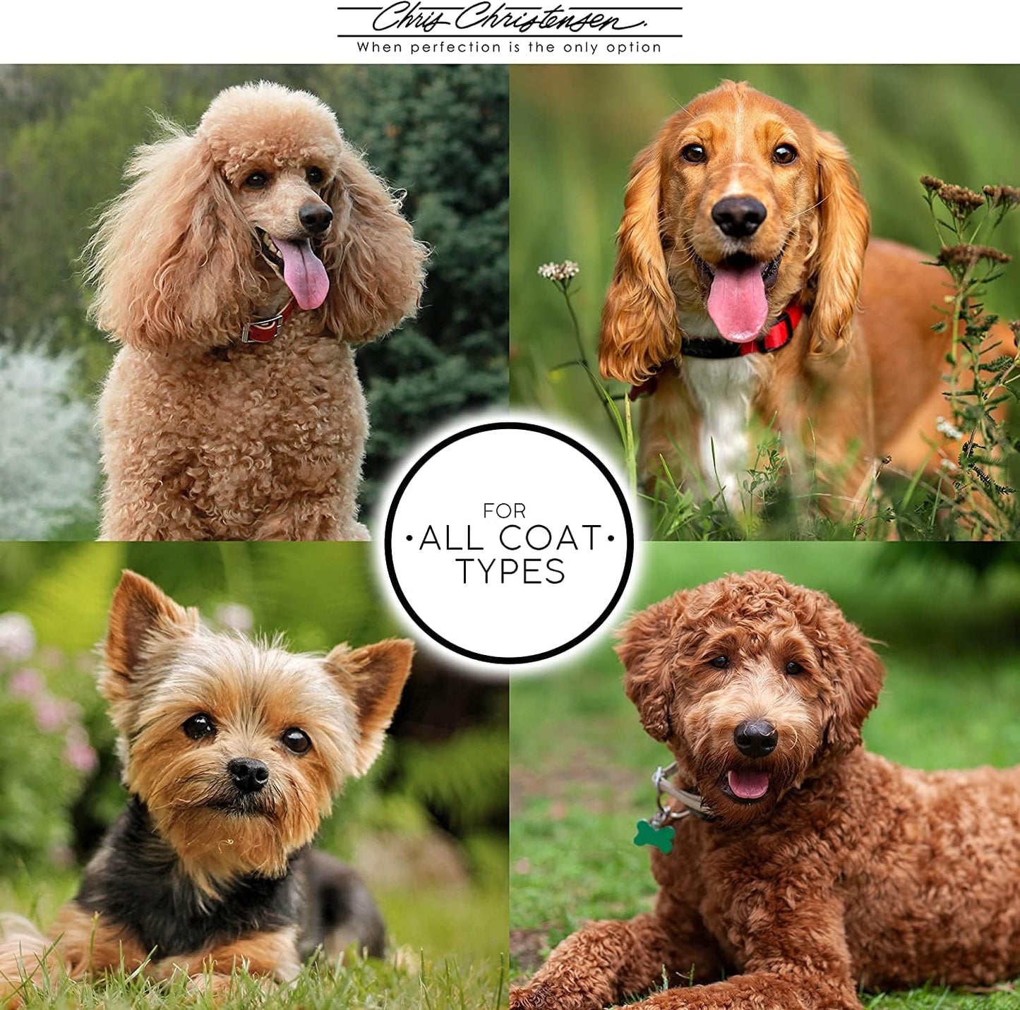 Chris Christensen Karben II Slicker Brush for Dogs, Groom Like a Professional, Ideal For All Coat Types, Remove Shedding Coat, Tangles and Dead Undercoat, 17 mm Stainless Steel Pins, Small