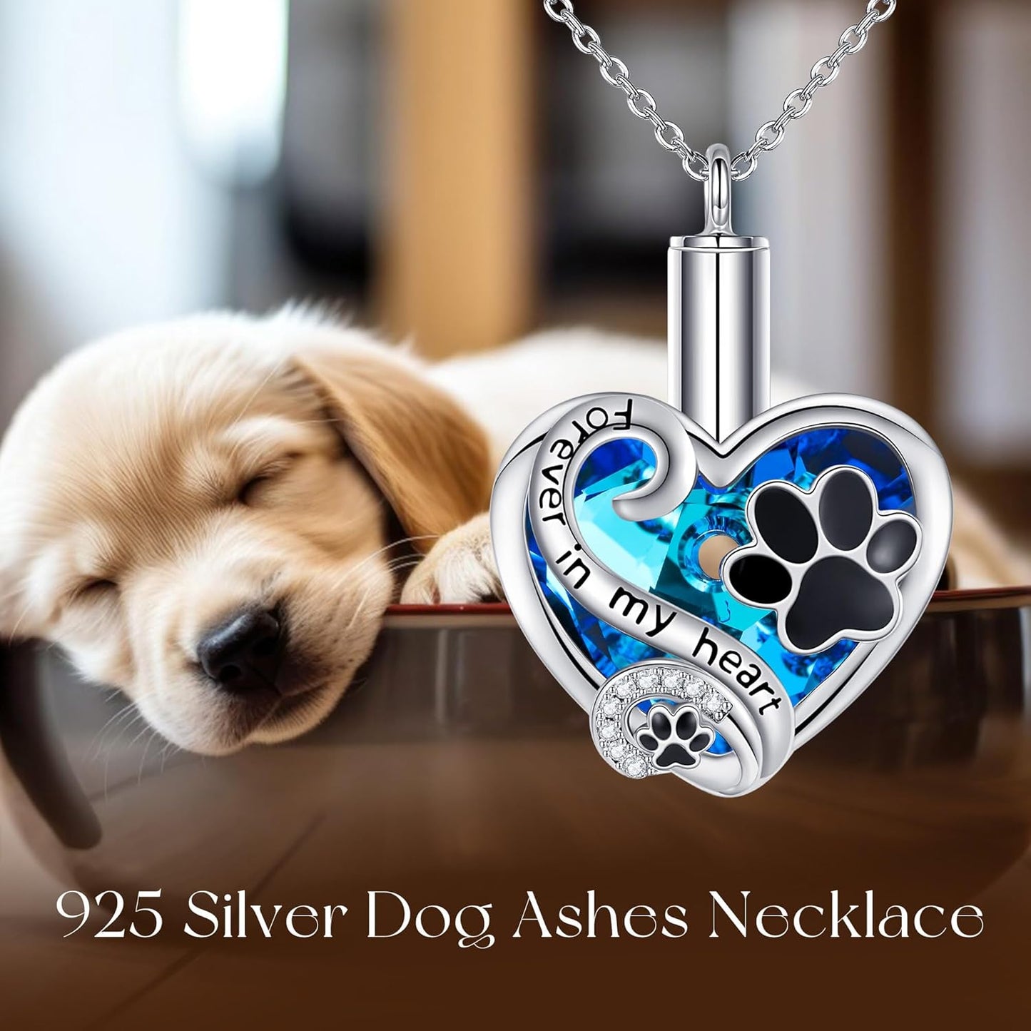 Pet Ashes Necklace 925 Sterling Silver Heart Urn Necklace with Paw Print Cremation Jewelry for Dog Cat Ashes