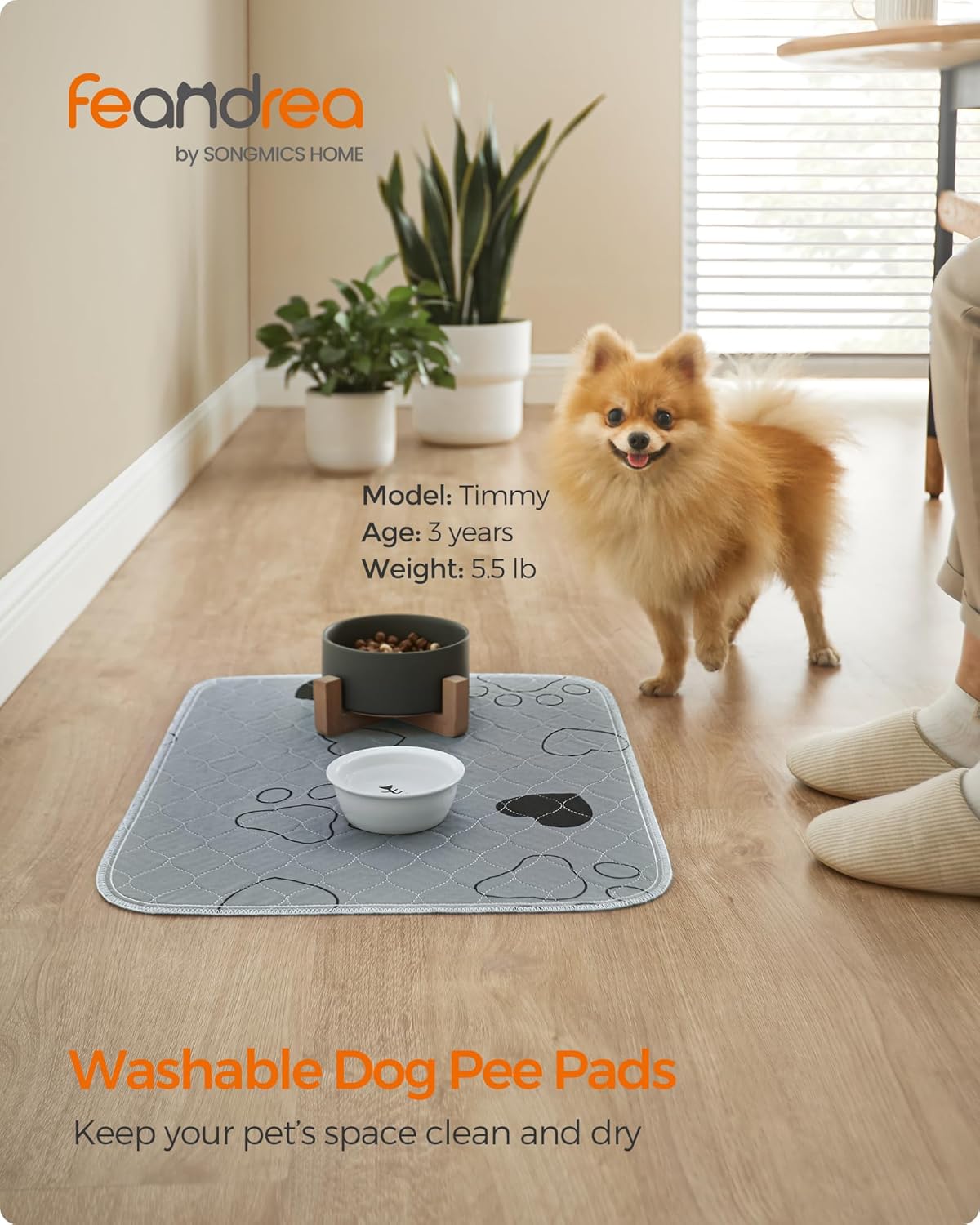 Feandrea Washable Dog Pee Pad, 2 Pack, Reusable, 24 x 18 Inches, S, Waterproof Pet Training, Leakproof, Non-Slip, Super Absorbent, Gray UPTD018G01