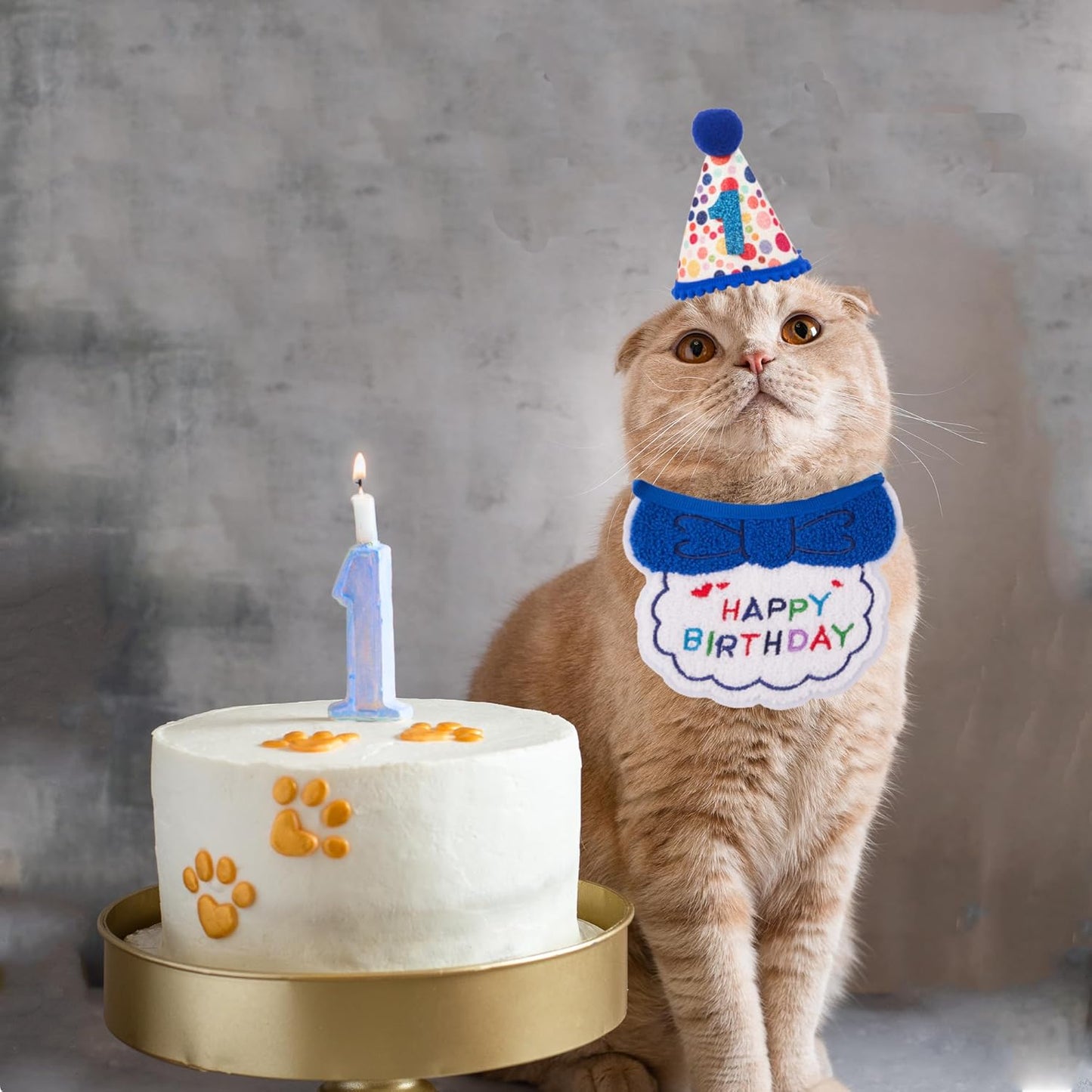 ADOGGYGO Cat Birthday Party Supplies, Blue Boy Cat Kitten Birthday Bandana Hat Numbers Pet Birthday Decorations Outfits