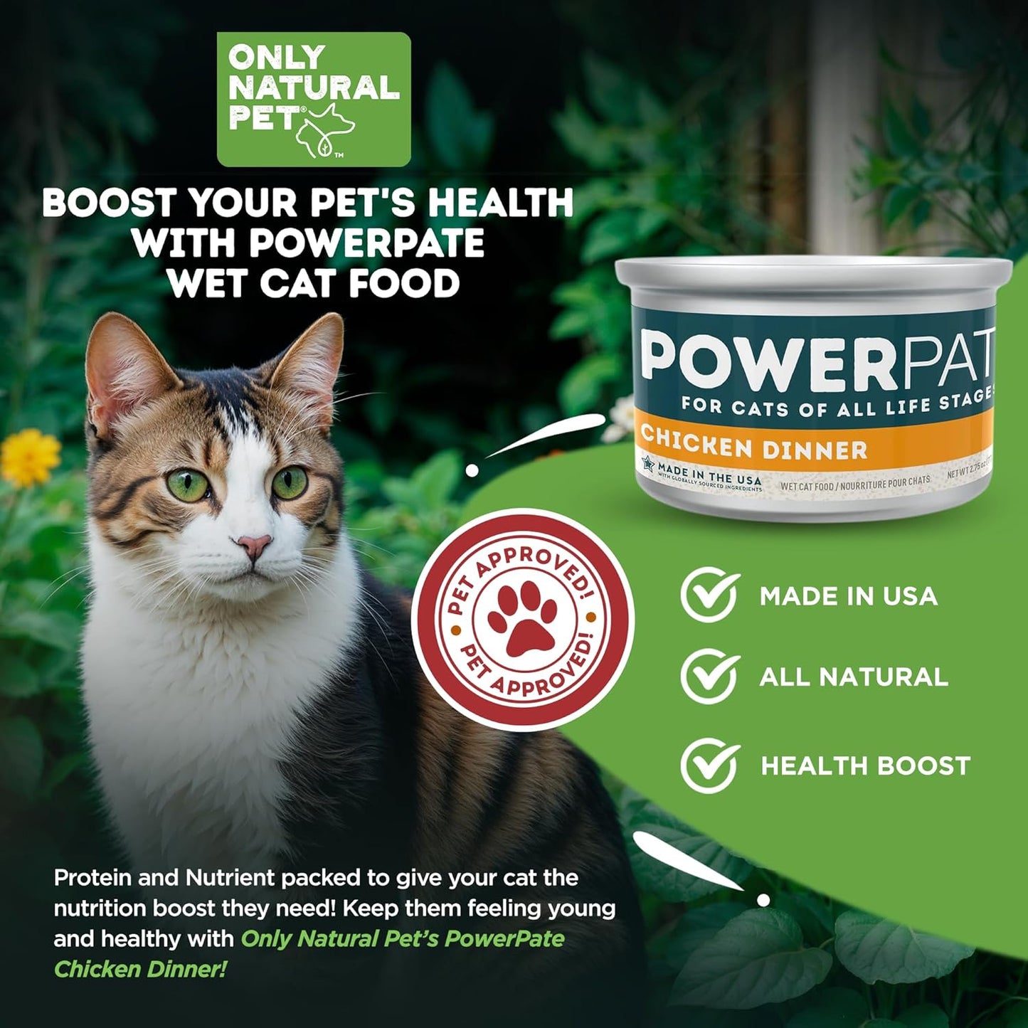 Only Natural Pet PowerPate Grain-Free Chicken Dinner Wet Cat Food - Holistic, High Protein w/Chicken & Broth - Balanced Nutrition for Kitten & Cats of All Life Stages, 2.75 oz Cans, Case of 12 (C)