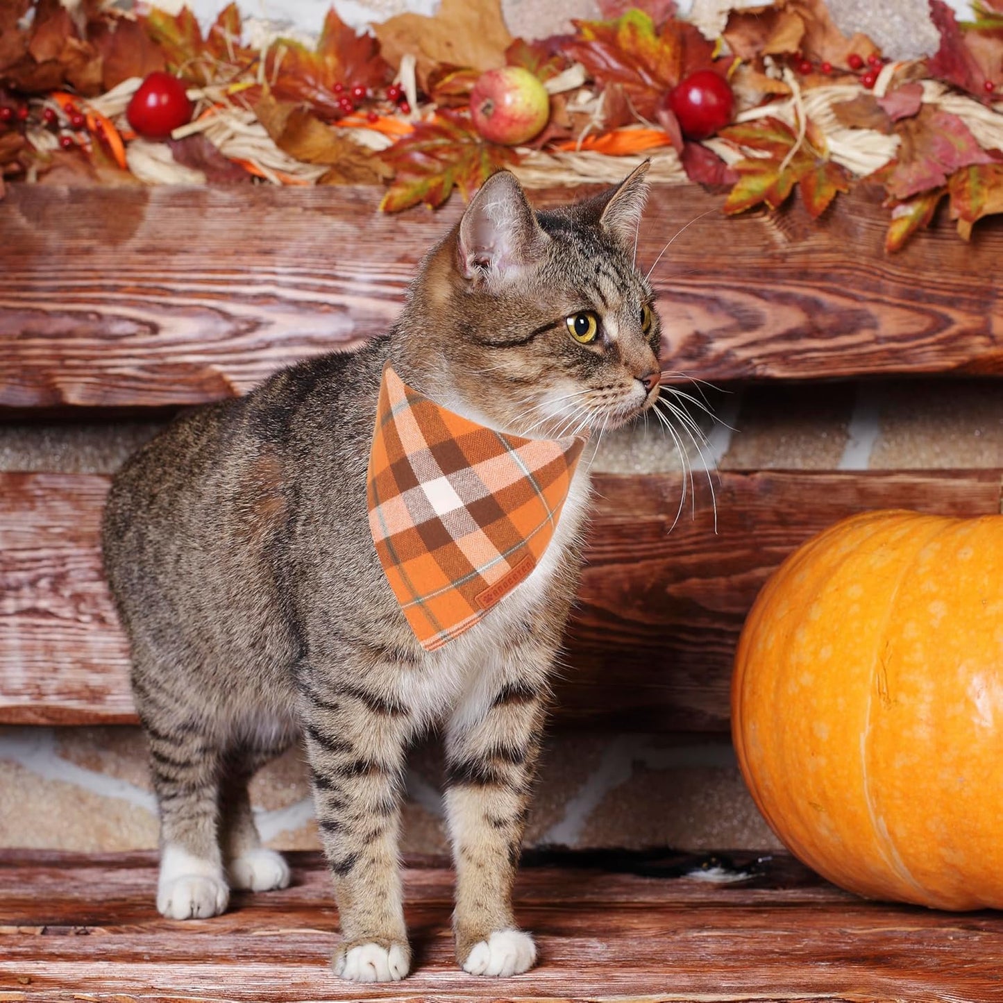 ADOGGYGO Fall Cat Bandanas 2 Pack, Premium Cotton Fabric, Orange Plaid Pet Halloween Thanksgiving Bandanas for Cat Kittens (Fall)
