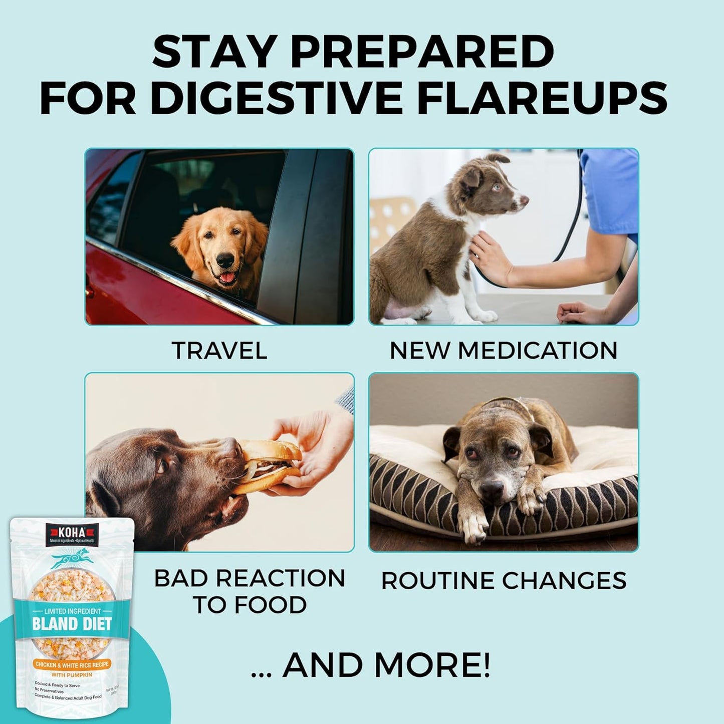 KOHA Pet Limited Ingredient Bland Diet for Dogs Value Pack, Chicken and White Rice Recipe Sensitive Stomach Wet Dog Food, Gentle Formula Easy to Digest Bland Diet Dog Food, Pack of 30