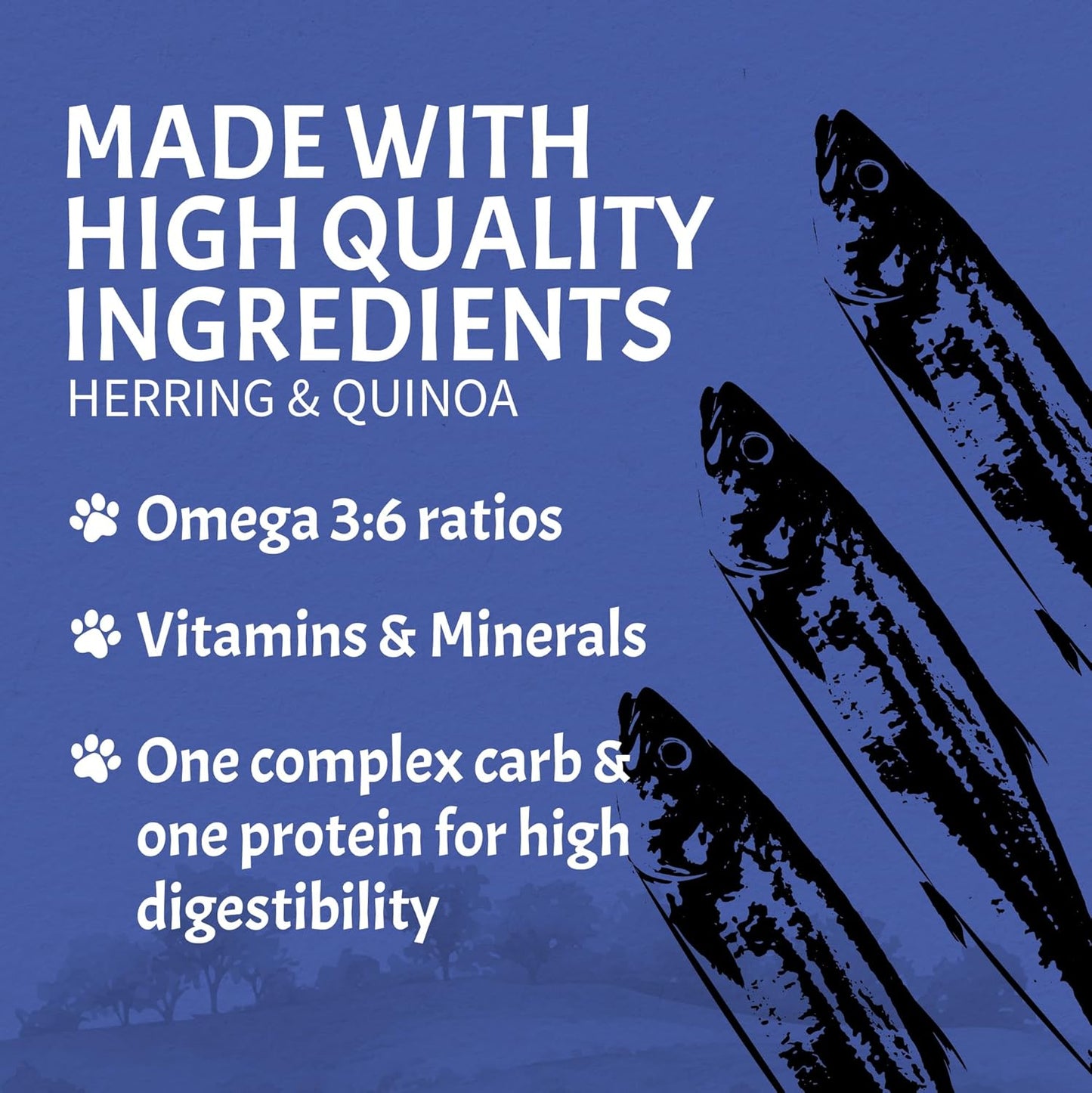 Canine Caviar - Wild Ocean: Herring & Teff Alkaline Dry Dog Food, Limited Ingredients, Gluten-Free, Based on Science & Research, Veterinary Alternative Diet (22 Pound Bag)