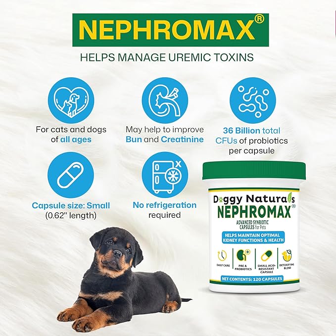 NEPHROMAX™ Synbiotic Capsules for Kidney Support for Dogs & Cats (120 Small Capsules) - Advanced Next-Generation Enteric detoxifying Proprietary Blend of Pre & Probiotics for Kidney Function,U.S.A