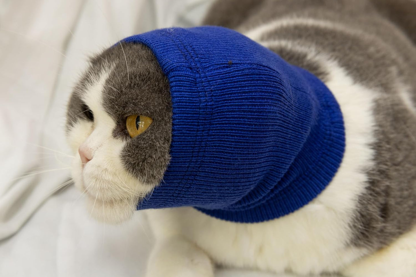 Cat Hematoma Ear Wrap,Cat Ear Wrap Anxiety Relief – Noise Canceling for Fireworks, Thunderstorms, Pet Grooming & Force Drying Blue S