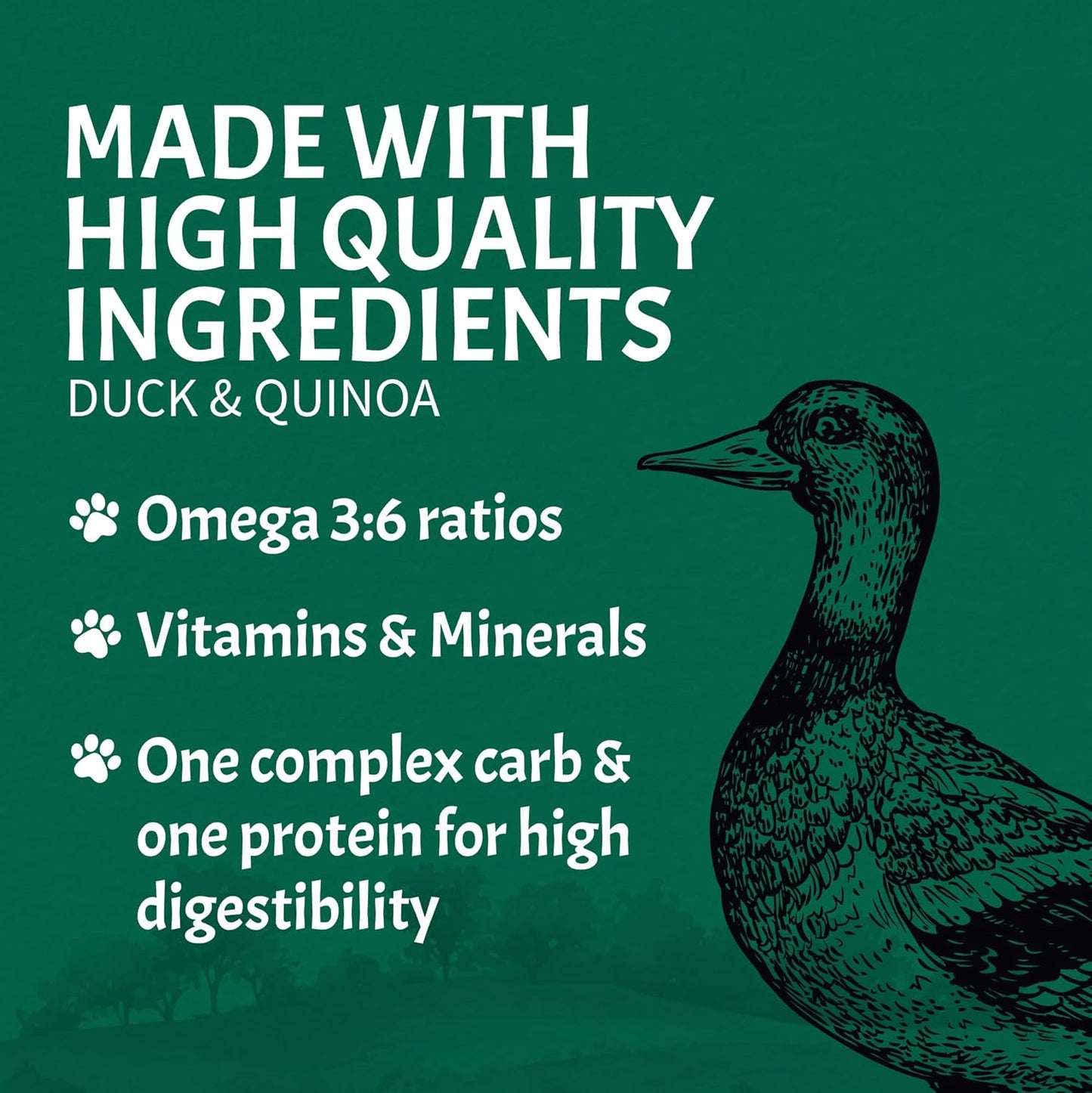 Canine Caviar - Open Sky: Duck & Teff Alkaline Dry Dog Food, Limited Ingredients, Gluten-Free, Based on Science & Research, Veterinary Alternative Diet (22 Pound Bag)