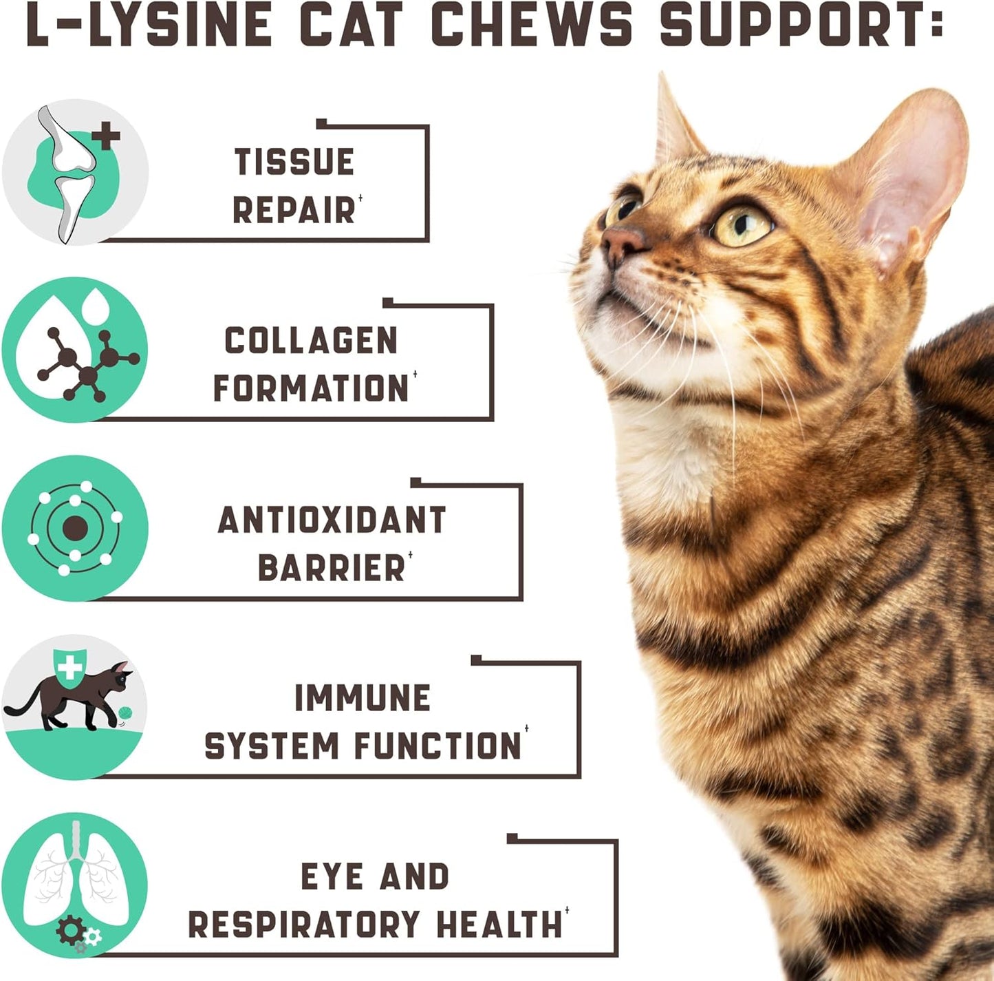 Lysine Cat Treats with Natural Vitamins & Trace Minerals - Daily Immune Support for Cats & Kittens That Eases Sneezing, Runny Nose, Watery Eyes - Promotes Respiratory Health, Normal Eye Function 135