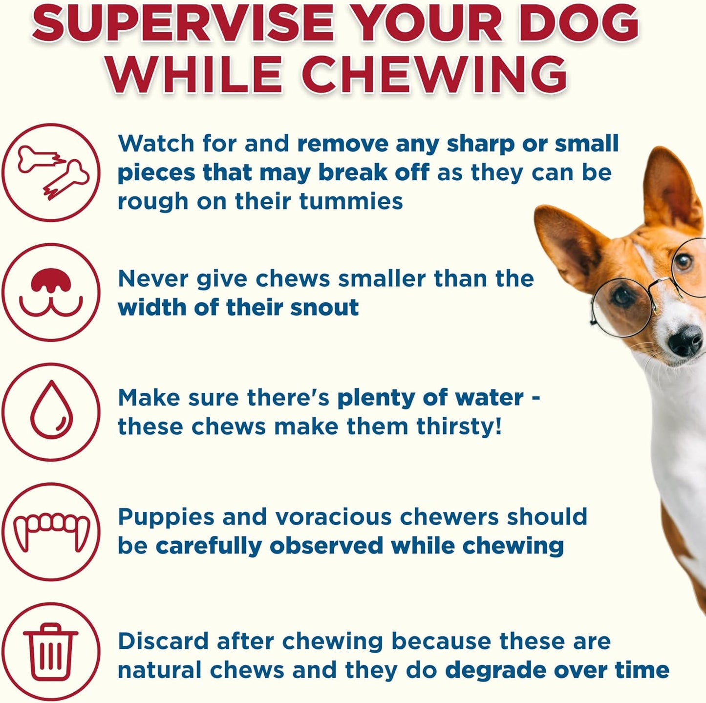 Best Bully Sticks 5-6 Inch Hollow Shin Bones for Dogs - 5 Count (Pack of 1) - Easily Digestible, Long-Lasting, Refillable Treat