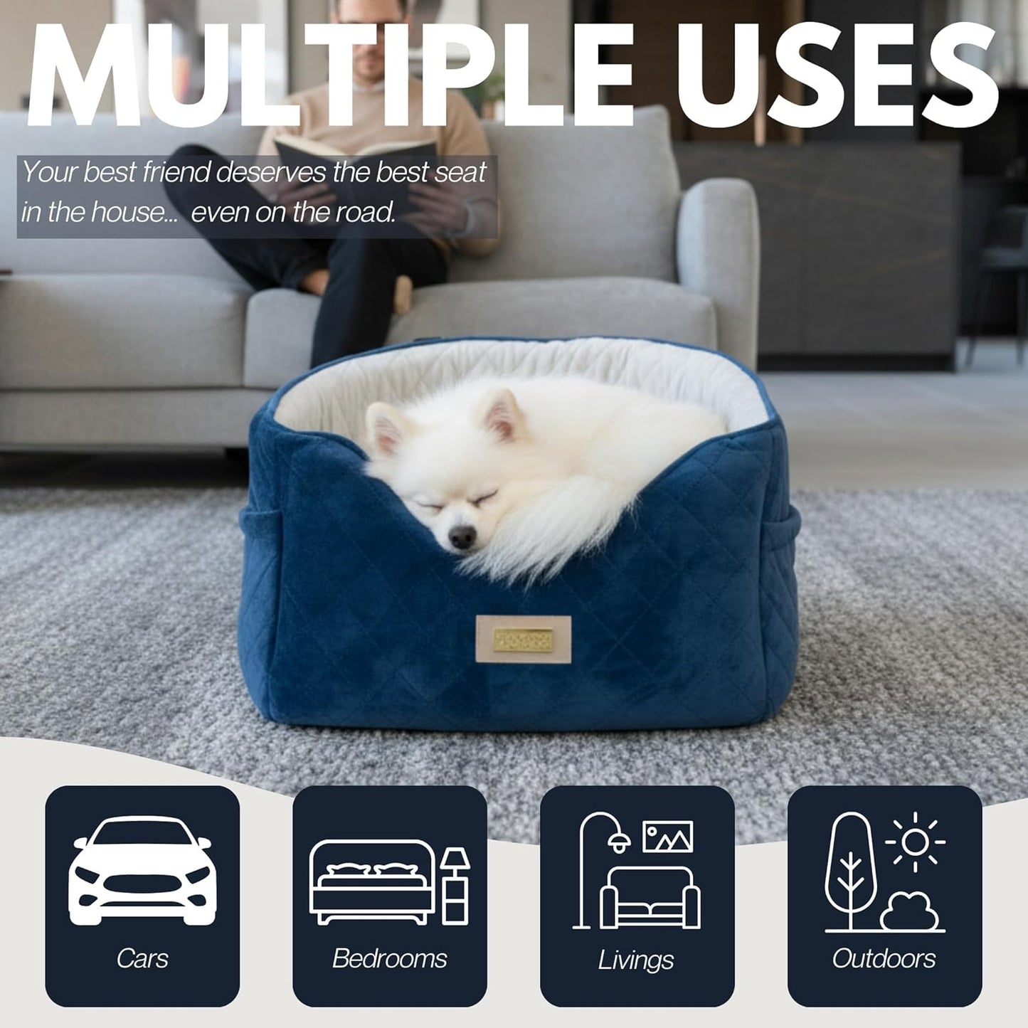 Premium 2-in-1 Dog Car Seat & Home Bed for Small Dogs – Premium Travel Pet Bed with Safety Straps, Stylish Design, Soft Plush Cushion & Secure Portable Comfort – Under 30lbs (Blue)