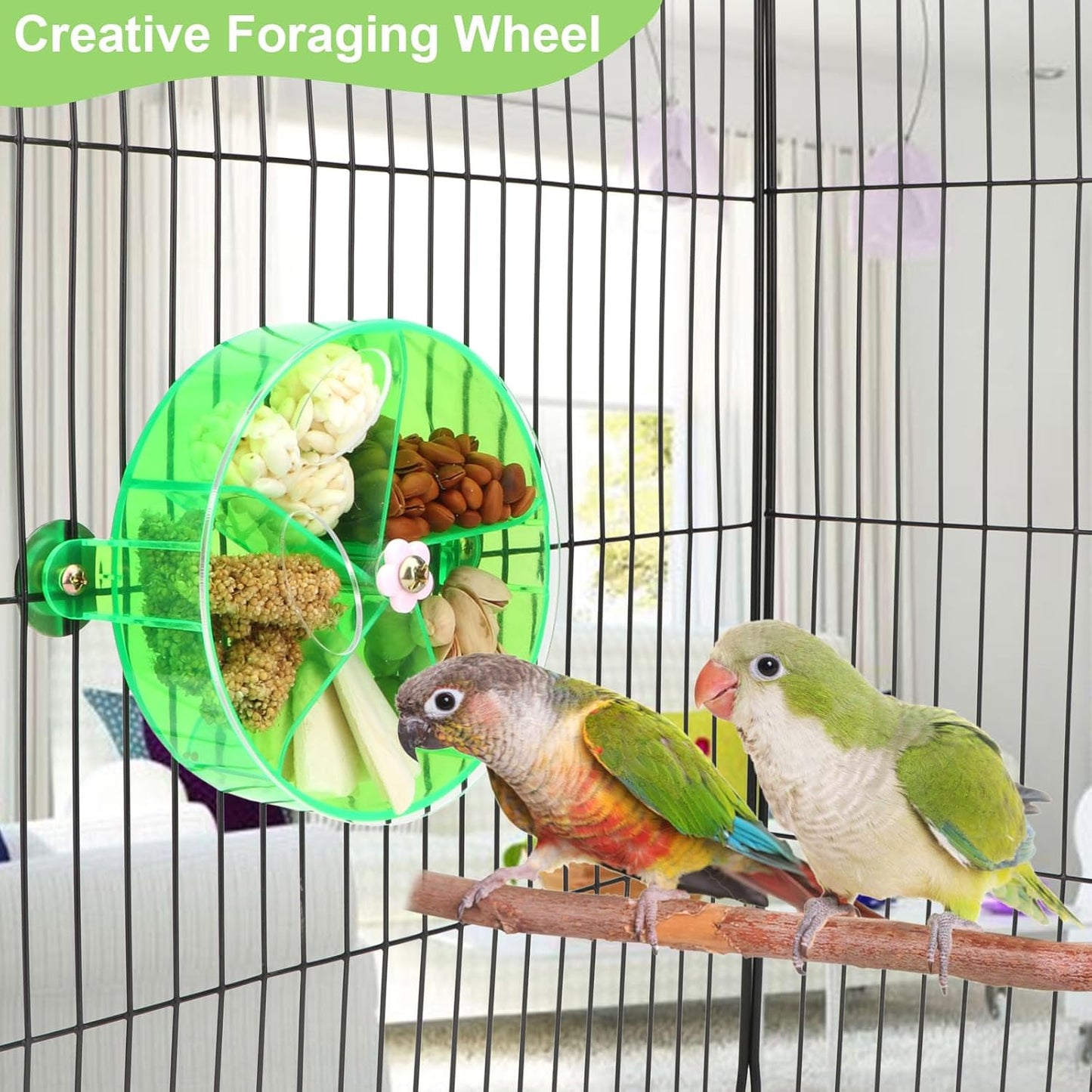 Bird Creative Foraging System Wheel Seed Food Ball Rotate Training Toy for Small and Medium Parrots Parakeet Cockatiel Conure (Green)